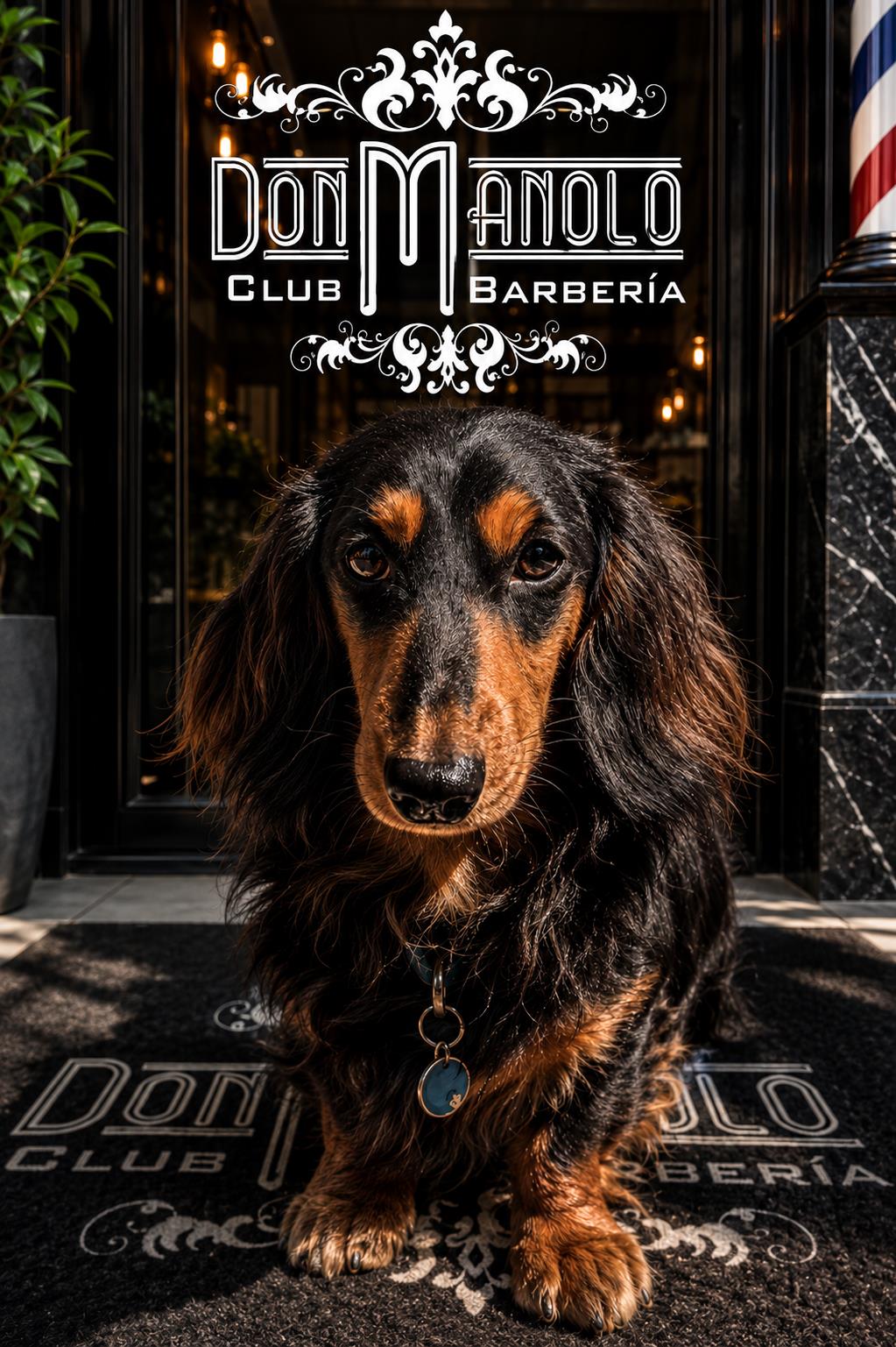 Perro salchicha sentado sobre el tapete con el logo Don Manolo en la entrada